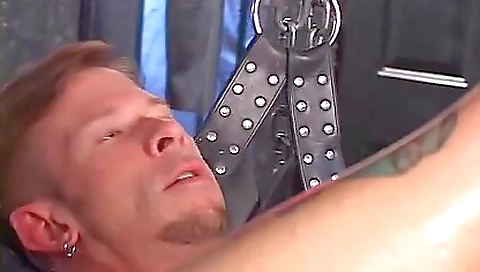 Free Toys Porn Videos - gaytubexx.com