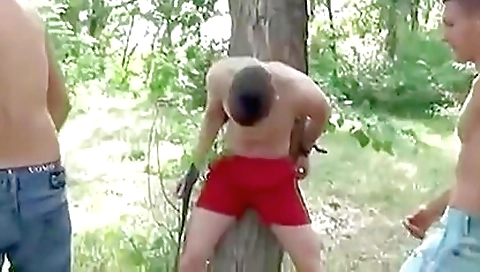 Shemaly cock and girl sucking joke robe